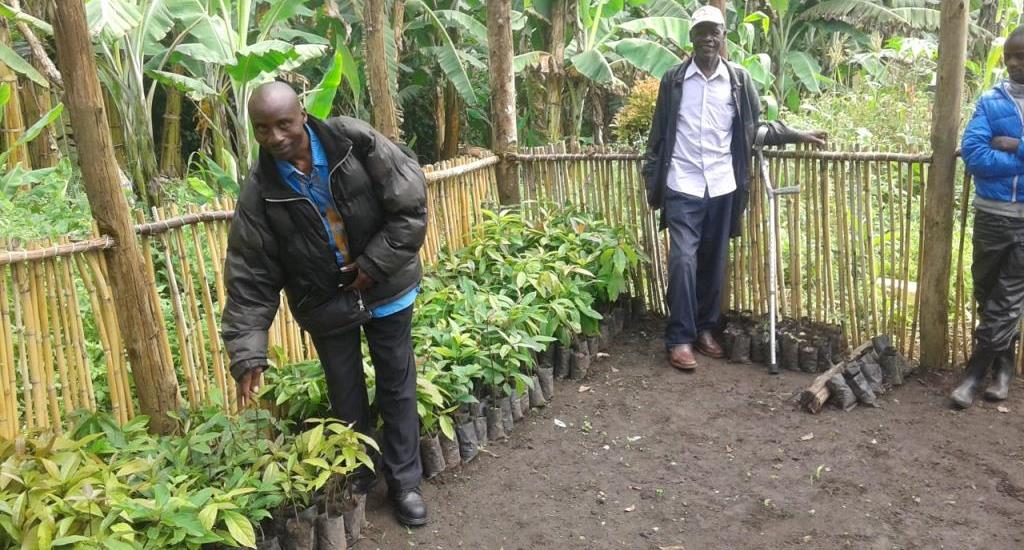 Environmental Conservation and Social Wellbeing - Kabarole District Farmers Association, Uganda
