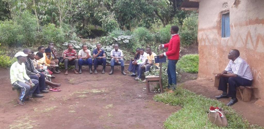 Institutional Strengthening and Farmer Organisation Development - Kabarole District Farmers Association, Uganda