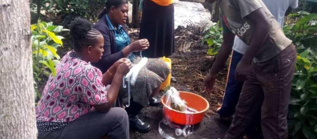 KDFA – NAADS Farmer Institutional Development (FID) Project, 2004–2009, Kabarole District