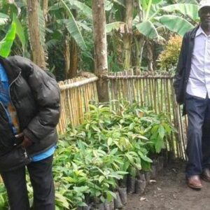 Proven Impact in Financial Inclusion - Kabarole District Farmers Association, Uganda