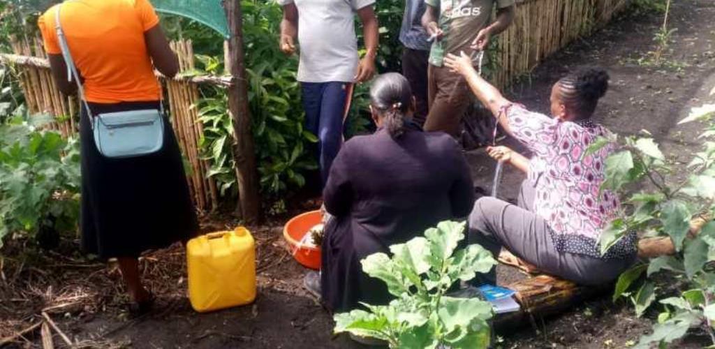 Research, Innovation and Extension Services - Kabarole District Farmers Association, Uganda